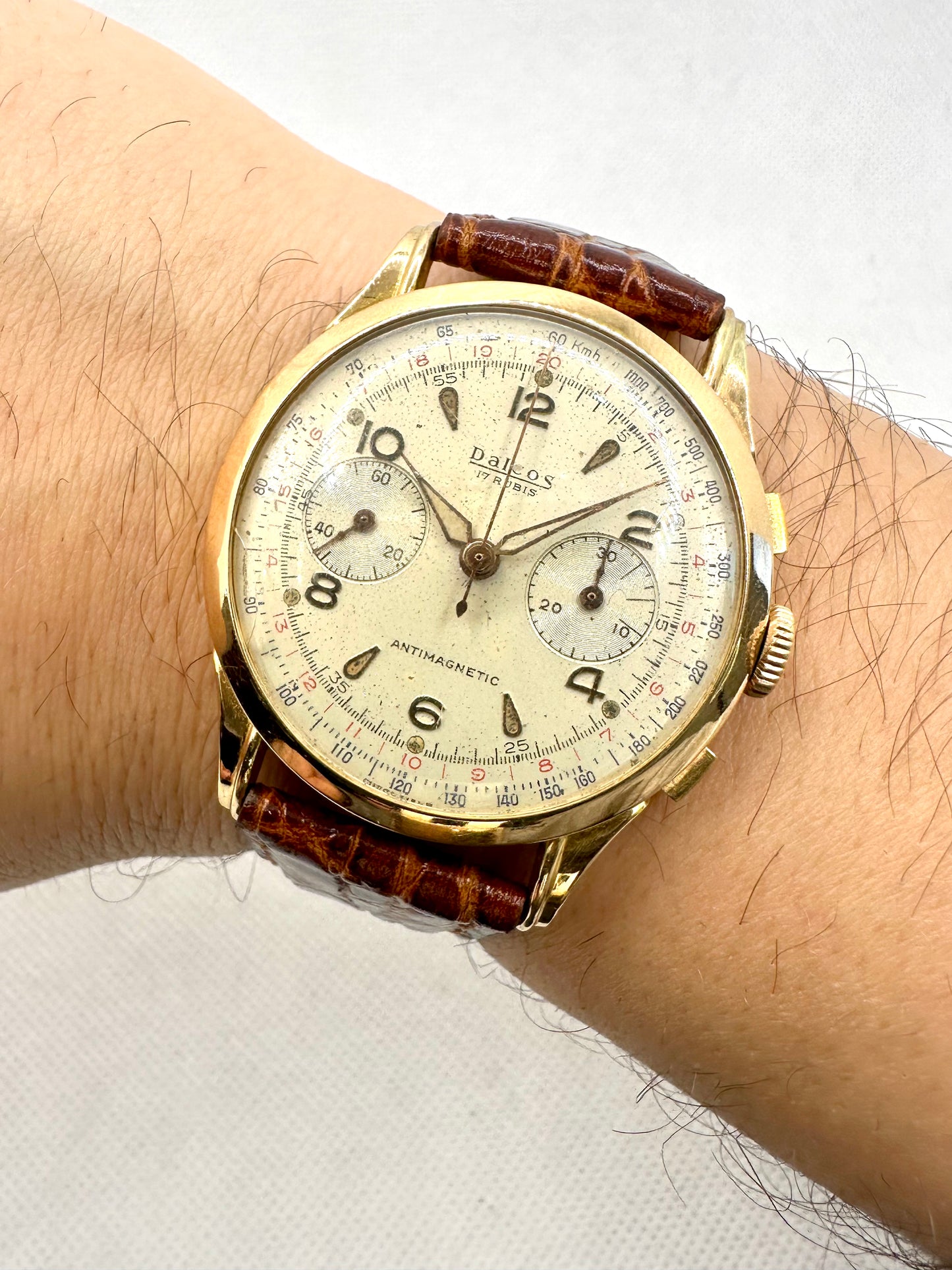 DALCOS CHRONOGRAPH GOLD 18K (OVERSIZE)